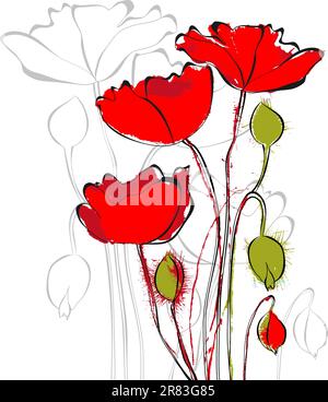 Roter Mohn-Blumen Stock Vektor