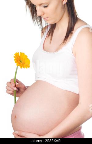 Ein schwangeres Mädchen mit orangefarbener Gerbera in der Hand Stockfoto