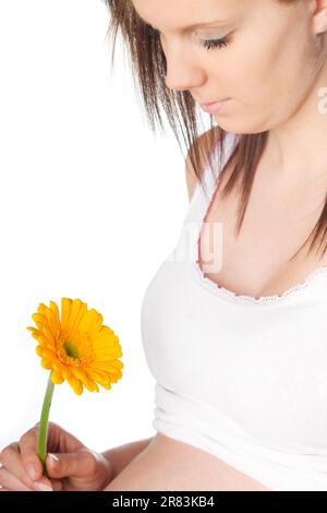 Ein schwangeres Mädchen mit orangefarbener Gerbera in der Hand Stockfoto