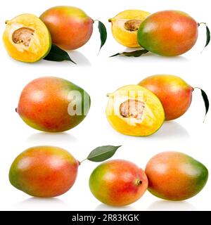 Sammlung reifer Mangofrüchte mit Blättern auf weißem Hintergrund Stockfoto