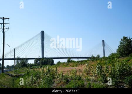 Blick auf Port Mann, der an einem sonnigen Wintertag den Fraser River überquert. Aufgenommen in Surrey, Vancouver, British Columbia, Kanada. Hochwertige 4K-Aufnahmen Stockfoto