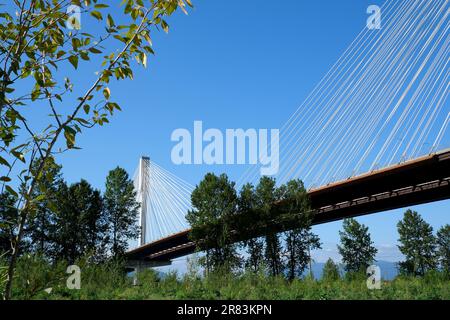 Blick auf Port Mann, der an einem sonnigen Wintertag den Fraser River überquert. Aufgenommen in Surrey, Vancouver, British Columbia, Kanada. Hochwertige 4K-Aufnahmen Stockfoto