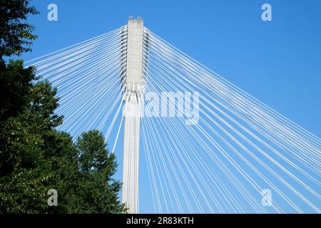 Blick auf Port Mann, der an einem sonnigen Wintertag den Fraser River überquert. Aufgenommen in Surrey, Vancouver, British Columbia, Kanada. Hochwertige 4K-Aufnahmen Stockfoto