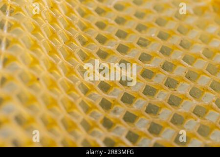 Wabenbienen Nahaufnahme in einem Holzrahmen ein arbeitender buckfast Bienenstock. Der Begriff der Bienenzucht. Stockfoto