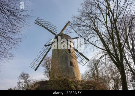 Garzweiler, offene Mine. Immerath (Erkelenz) Garzweiler hat die Mine geöffnet Stockfoto