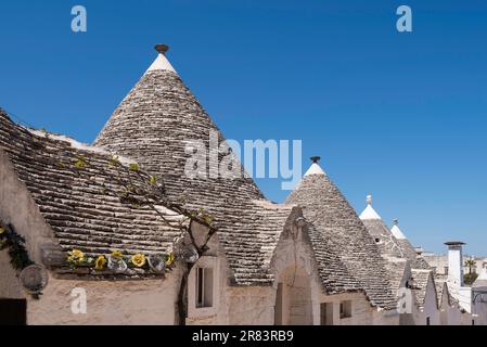 Malerischer Blick auf weiße Trulli-Hütten mit konischen Dächern in Alberobello in Apulien in Italien Stockfoto