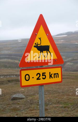 Straßenschild „Attention Rentier“, Island Stockfoto