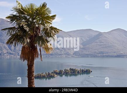 Isole di Brissago, Blick von Ronco sopra Ascona, Lago Maggiore, Tessin, Schweiz Stockfoto