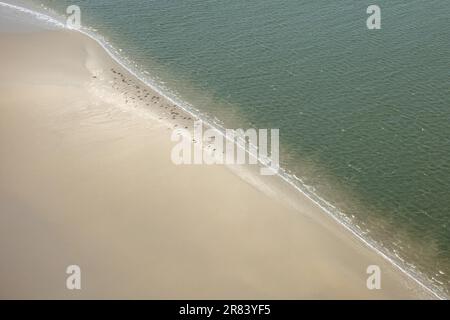 Insel Juist Deutschland. Insel Juist, Wattenmeer der Nordsee Stockfoto