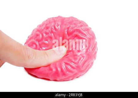 Nahaufnahme eines Fingers, der Druck auf ein geschmeidiges, gelartiges menschliches Hirnmodell ausübt, isoliert auf weißem Hintergrund. Psychische Gesundheit, Stress und kognitiv Stockfoto