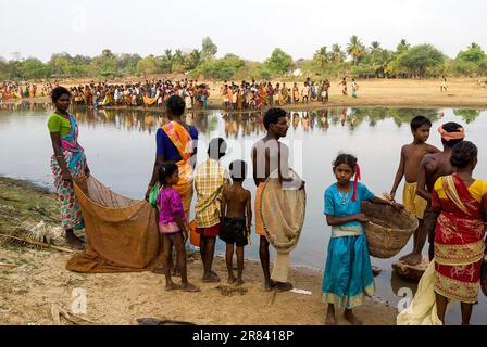 Fischereifestival in Venthanpatti bei Ponnamaravathy, Pudukkottai District, Tamil Nadu, Südindien, Inida, Asien. Während der Sommersaison, wenn der See Stockfoto