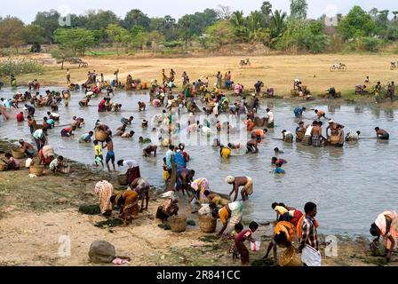 Fischereifestival in Venthanpatti bei Ponnamaravathy, Pudukkottai District, Tamil Nadu, Südindien, Inida, Asien. Während der Sommersaison, wenn der See Stockfoto