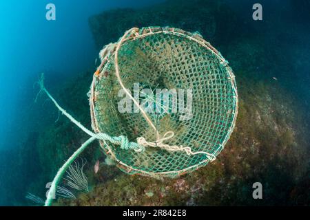 Fischfalle im Riff, Cap de Creus, Costa Brava, Fischfalle, Spanien Stockfoto