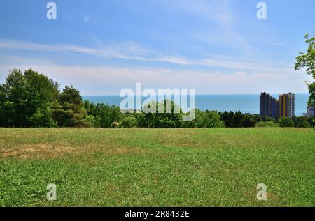 Sotschi, Russland - Juni 5. 2018. Ein Stück Arboretum mit Blick auf das Schwarze Meer Stockfoto