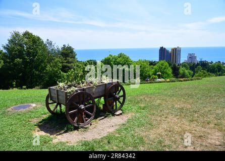 Sotschi, Russland - Juni 5. 2018. Ein Stück Arboretum mit Blick auf das Schwarze Meer Stockfoto