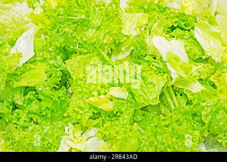 Abstrakter Hintergrund von frischem grünem Salat von oben. Gesunde Ernährung Stockfoto