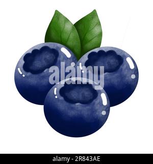 Aquarelle Heidelbeeren und grüne Blätter Clipart. Handgezeichnete Sommerfrucht, isoliert auf weißem Hintergrund. Essensillustration, Sommerfrucht. Stockfoto