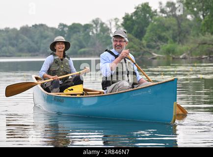 Schwedt, Deutschland. 19. Juni 2023. Axel Vogel (Bündnis 90/die Grünen, r), Umweltminister Brandenburgs, und Frauke Bennett, Kanufahrerin Flusslandschaft Reisen, nehmen an einer Testfischerei auf der Schwedter Querfahrt an der deutsch-polnischen Grenze der oder im Nationalpark des unteren oder-Tals Teil. Auch MdEP Neumann nahm an der Versuchsfischerei Teil. Fast ein Jahr nach der verheerenden Umweltkatastrophe und ihrer ersten Reise in die oder ist Neumann wieder auf Tour entlang des Flusses. Kredit: Patrick Pleul/dpa/Alamy Live News Stockfoto