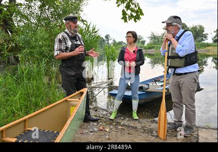 Schwedt, Deutschland. 19. Juni 2023. Helmut Zahn (l-r), Fischer, Hannah Neumann, MdEP, und Axel Vogel (beide Bündnis 90/die Grünen), Umweltminister Brandenburgs, sprechen vor dem Beginn einer Testfischereifahrt auf der Schwedter Querfahrt auf der deutsch-polnischen Grenzflüsse oder im Nationalpark des unteren oder-Tals. Fast ein Jahr nach der verheerenden Umweltkatastrophe und ihrer ersten Reise in die oder ist die Abgeordnete Neumann wieder auf Tour entlang des Flusses. Kredit: Patrick Pleul/dpa/Alamy Live News Stockfoto