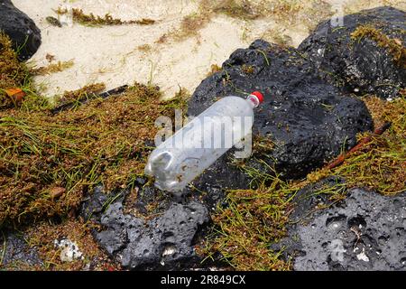 Plastikabfall, Strand von Mauritius Stockfoto