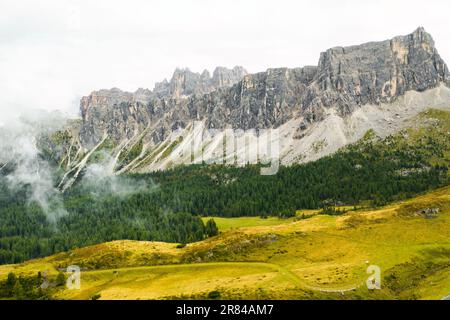 Der Gipfel der felsigen Dolomiten ist bedeckt von Wolken und grünem Wald am Fuße des Berges. Stockfoto