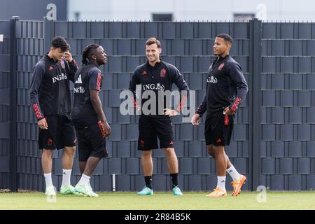 Tubize, Belgien. 19. Juni 2023. Die belgischen Spieler wurden am Montag, den 19. Juni 2023, bei einer Trainingssitzung der belgischen Fußballnationalmannschaft Red Devils in der Hauptniederlassung der Royal Belgischen Fußballvereinigung RBFA in Tubize zur Vorbereitung des Spiels gegen Estland fotografiert. BELGA FOTO KURT DESPLENTER Kredit: Belga News Agency/Alamy Live News Stockfoto