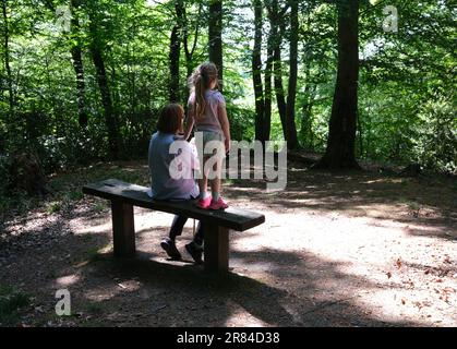 Auf der Waldlade, England, scheint das Licht auf Frau und Kind. Friedliche Wälder Großbritannien. Das Sonnenlicht scheint durch Stockfoto