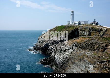 Der South Stack Lighthouse wurde auf der kleinen Insel vor der Nordwestküste von Holy Island, Anglesey, Wales, erbaut. Es wurde 1809 gebaut, um Schiffe vor dem Tod zu warnen Stockfoto