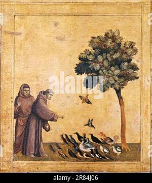 Giotto -- der Heilige Franziskus predigt den Vögeln, Predella des Heiligen Franziskus von Assisi erhält die Stigmatta 1295 Stockfoto