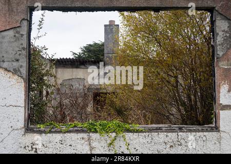 Verfallene Gebäude, Chaytors Mill, nahe Blenheim, Marlborough, Südinsel, Neuseeland Stockfoto