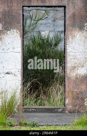 Eingang im verfallenen Gebäude, Chaytors Mill, bei Blenheim, Marlborough, South Island, Neuseeland Stockfoto