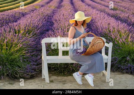 Eine junge Frau mit Strohhut und Sonnenkleid sitzt auf der Bank, eingebettet in ein lebendiges Lavendelfeld und hält einen Korb mit Blumen Stockfoto