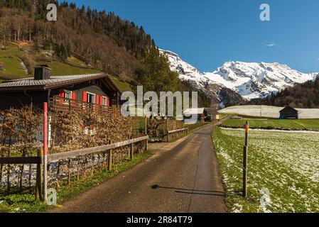 Schmale Straße mit Häusern und Blick auf den schneebedeckten Mt. Saentis, Wildhaus-Alt St. Johann, Toggenburg, Canton St. Gallen, Schweiz Stockfoto