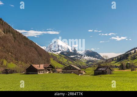 Toggenburger Tal mit Blick auf Wildhuser Schafberg, Wildhaus-Alt St. Johann, Canton St. Gallen, Schweiz Stockfoto