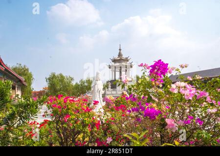 Die chinesische Göttin der Barmherzigkeit und des Mitgefühls. Guanyin in Thailand Stockfoto