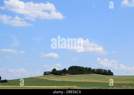 Vulkanhügel mit reifen Kornfeldern Stockfoto