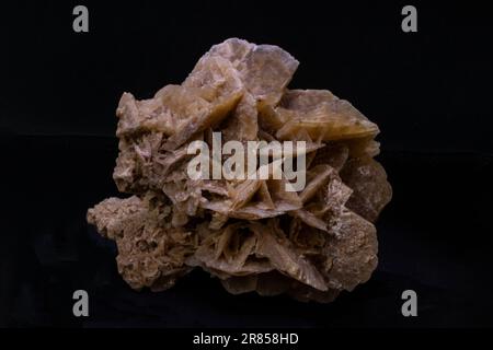 Desert rose mineral Stockfoto
