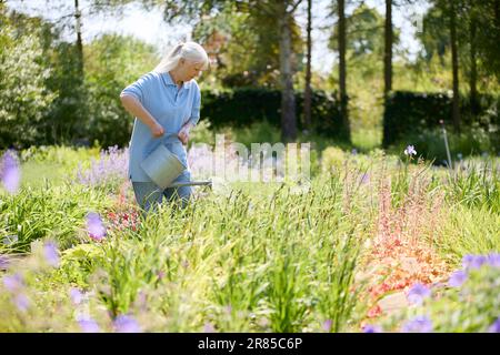 Seniorin Im Ruhestand, Teilzeitstelle Im Garden Centre, Bewässerung Von Pflanzen Stockfoto