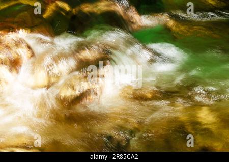 Fluss eines kleinen wilden Bachs. Frisches klares Wasser fließt schnell über die Steine eines Bachs. An einem sonnigen Sommertag in einem Wald in Salzburg. Stockfoto