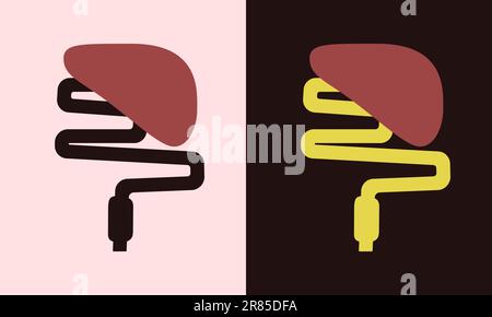 Flacher, einfacher Stil Minimale Darstellung der menschlichen Leber und des Dünndarms auf hellem und dunklem Hintergrund Stock Vektor