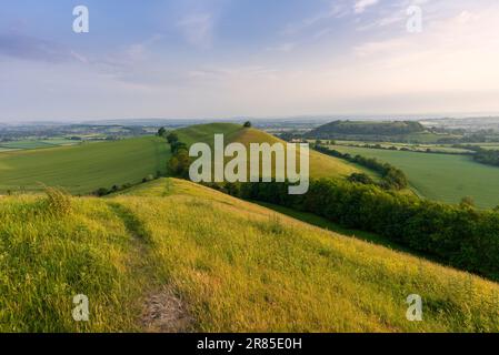 Parrock Hill und Cadbury Castle Hill Fort von Corton Denham Beacon, Somerset, England. Stockfoto