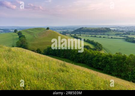 Der Blick vom Corton Denham Beacon über Parrock Hill und Cadbury Castle Hill Fort bei Sonnenaufgang, Somerset, England. Stockfoto