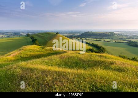 Parrock Hill und Cadbury Castle Hill Fort von Corton Denham Beacon, Somerset, England. Stockfoto