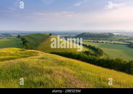 Parrock Hill und Cadbury Castle Hill Fort von Corton Denham Beacon, Somerset, England. Stockfoto