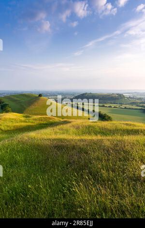 Parrock Hill und Cadbury Castle Hill Fort von Corton Denham Beacon, Somerset, England. Stockfoto