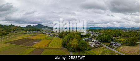 Panoramablick auf Reisfelder von Häusern im ländlichen Japan Stockfoto