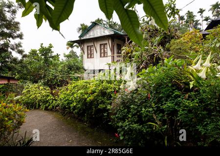 Niedliches typisches Haus mit üppigem Garten im saubersten Dorf Asiens, Mawlynnong in Meghalaya, Indien Stockfoto