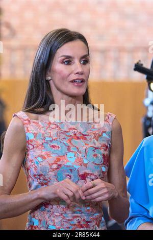 Spanische Königin Letizia bei einem Besuch in Escuelas Taller y Talleres de Empleo Patrimonio Nacional anlässlich ihres Besuchs in Spanien in Madrid Stockfoto