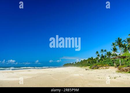 Atemberaubender Sargi-Strand umgeben vom Meer und Kokospalmen in Serra Grande an der Küste von Bahia Stockfoto