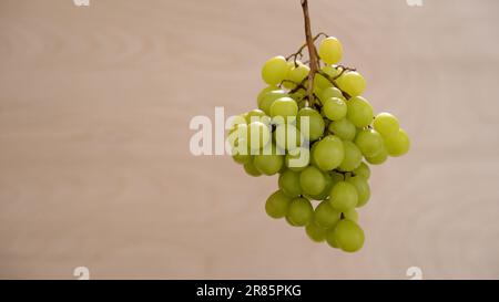 Trauben auf schwarzem Hintergrund. Reife, saftige Trauben rotieren auf einem Teller. Nahaufnahme von einem Haufen weißer Trauben. Ein frischer Haufen saftiger Trauben rotiert auf einem Stockfoto